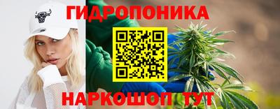 кокс Кандалакша